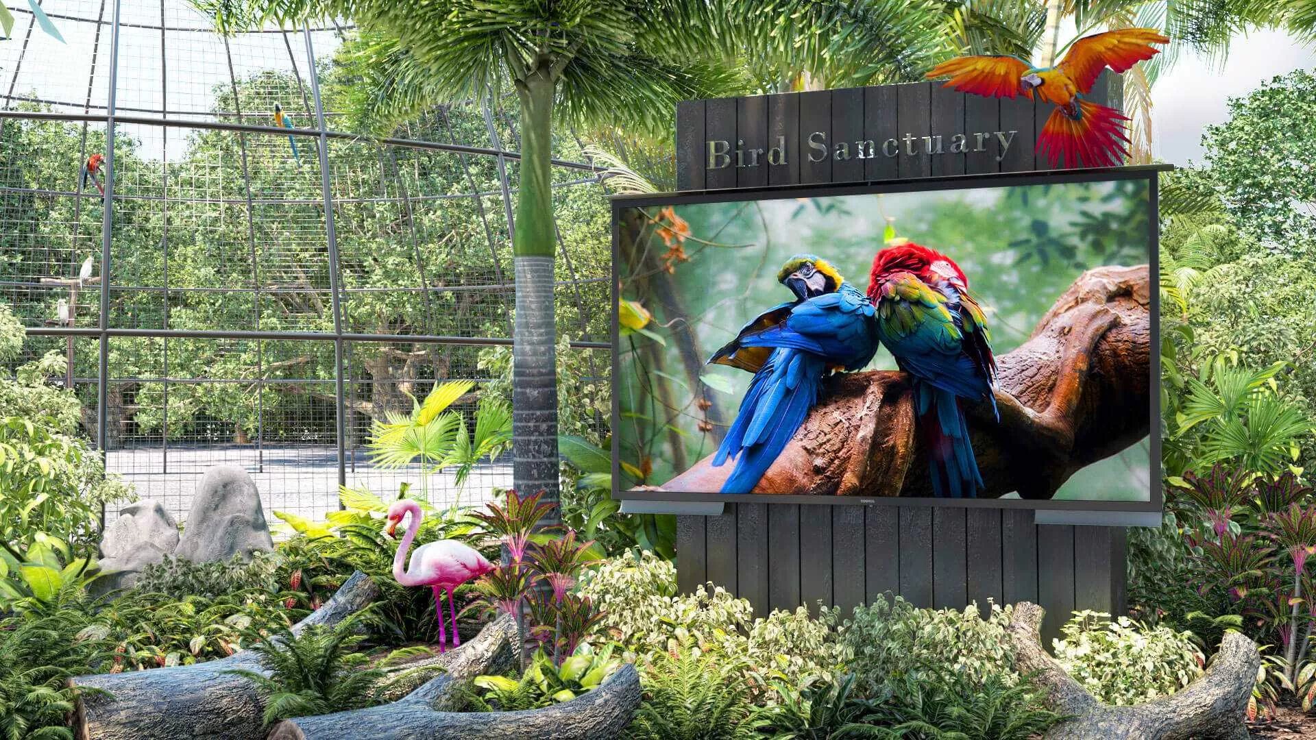 An outdoor TV perfectly fits in a bird sanctuary, displaying colorful lovebirds.