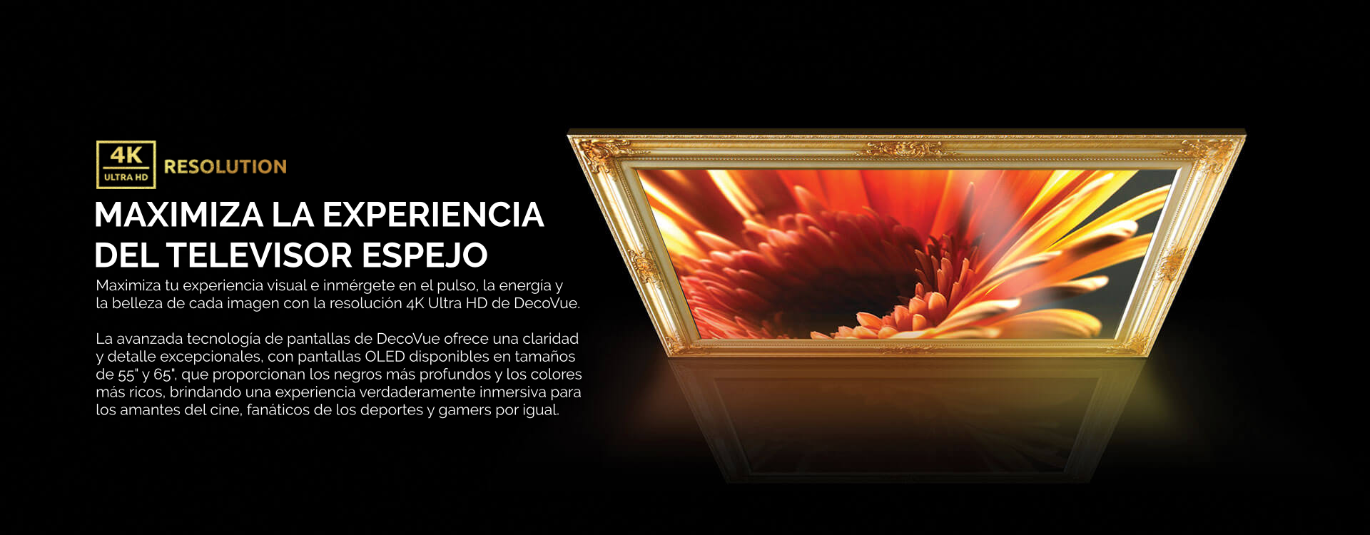 Un color vibrante de una flor mostrada en un TV espejo con marco y un logo de resolución 4K.