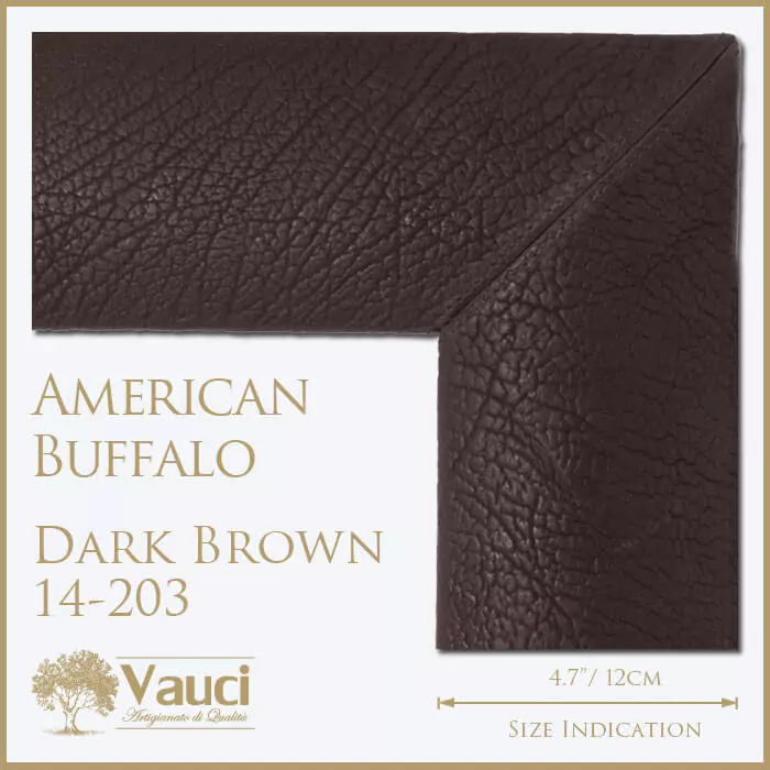 American buffalo dark brown vauci frame with its size indication on a white background.
