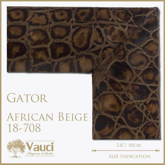 Gator african beige frame with its size indication on a white background.