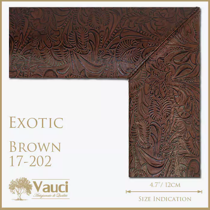 Exotic brown vauci frame with its size indication on a white background.