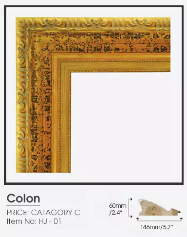 Colon golden frame Category C on a plain surface.