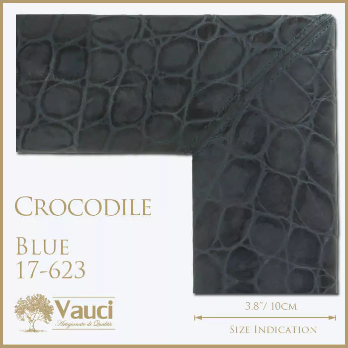 Crocodile blue vauci frame with its size indication on a white background.