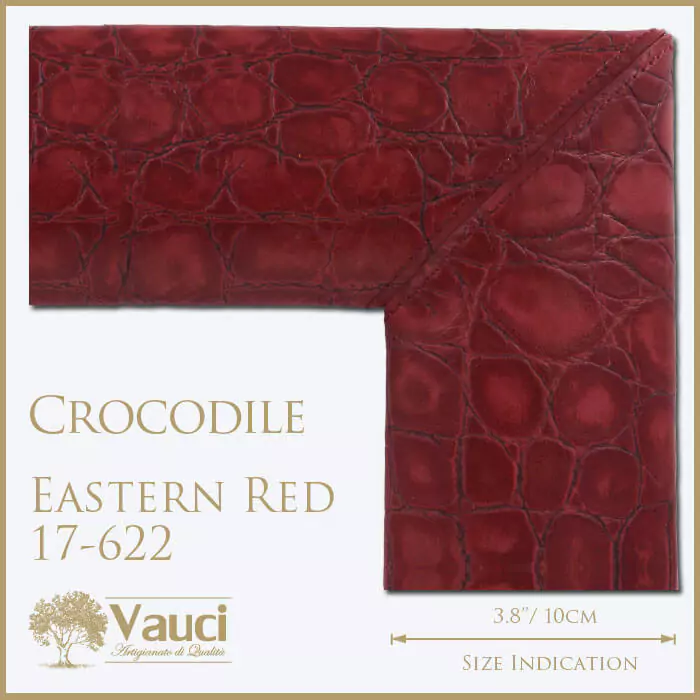 Crocodile eastern red vauci frame with its size indication on a white background.
