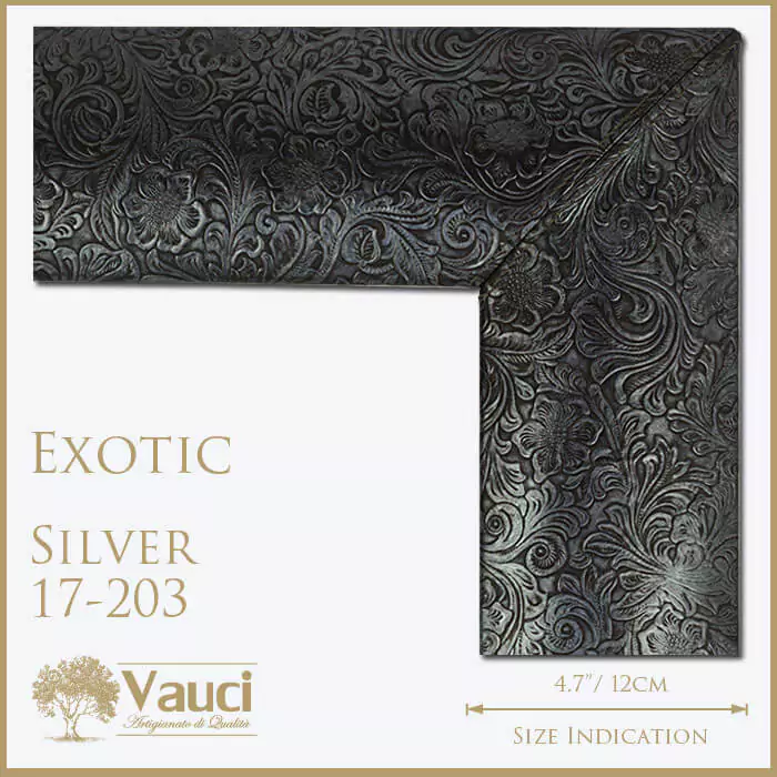 Exotic silver vauci frame with its size indication on a whtie background.