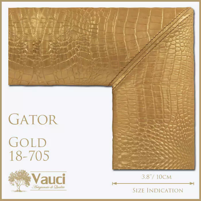 Gator gold vauci frame with its size indication on a white background.