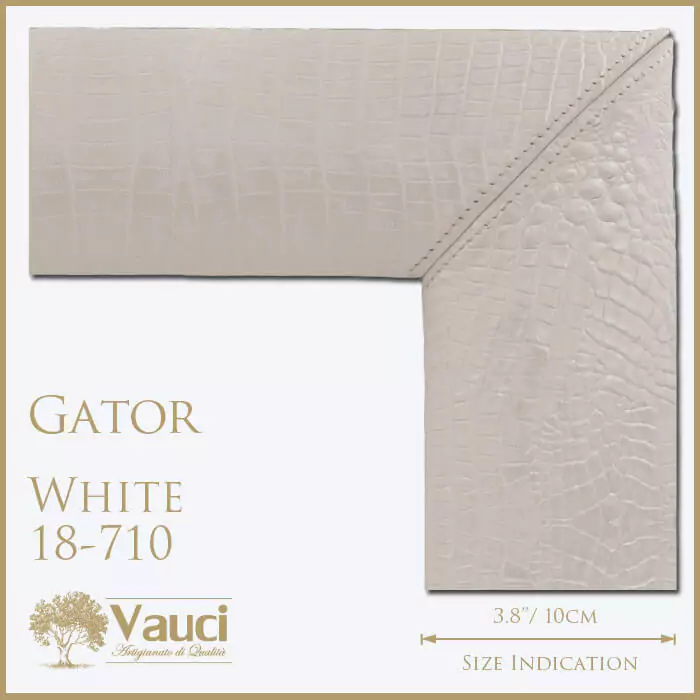 Gator white vauci frame with its size indication on a white background.