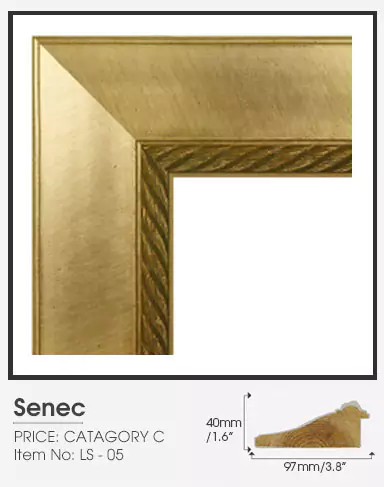 Senec golden frame Category C on a plain surface.