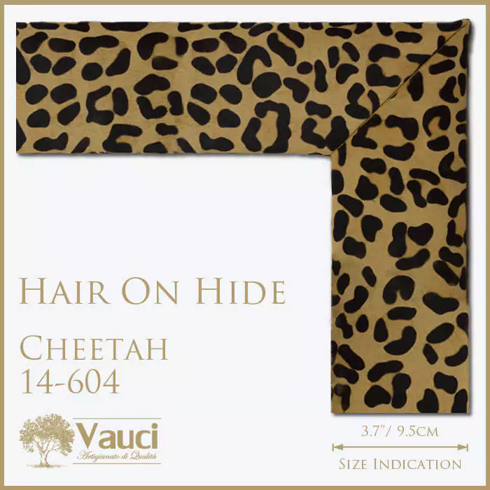 Hair on hide cheetah vauci frame with its size indication on a white background.