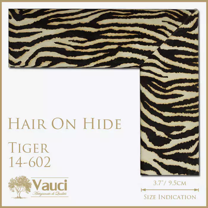 Hair on hide tiger vauci frame with its size indication on a white background.