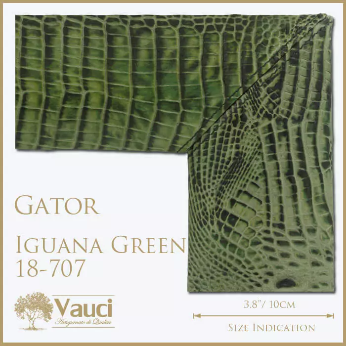 Gator iguana green vauci frame with its size indication on a white background.