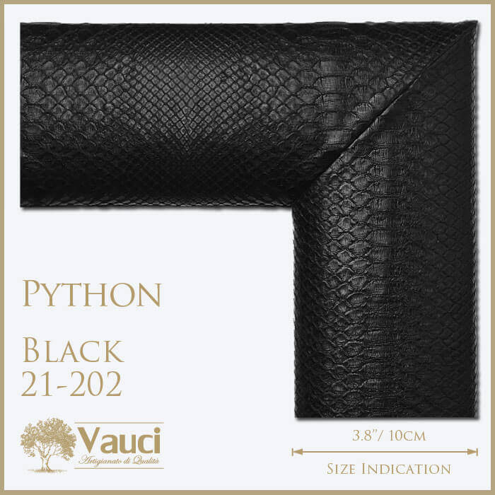 Python