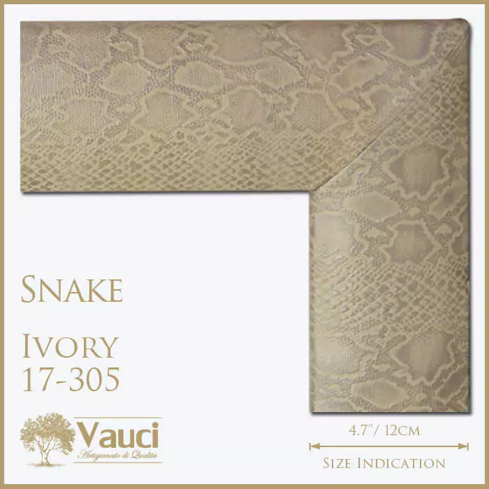 Snake ivory vauci frame with its size indication on a white background.