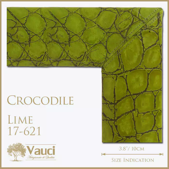 Crocodile lime vauci frame with its size indication on a white background.