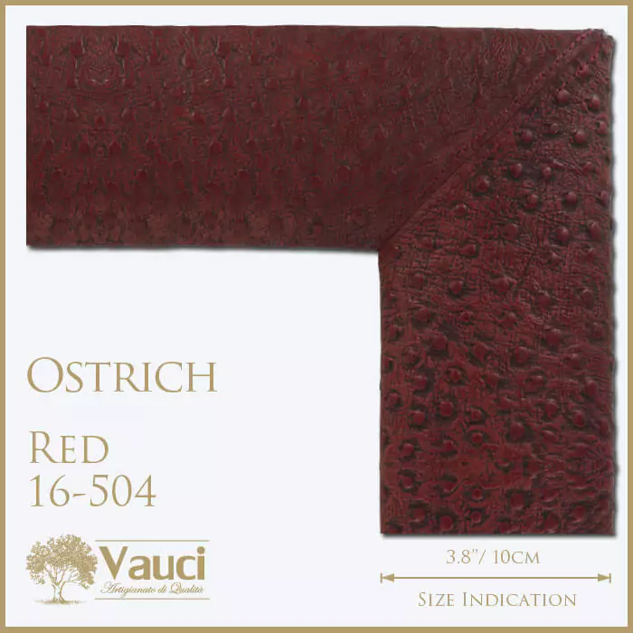 Ostrich red vauci frame with its size indication on a white background.