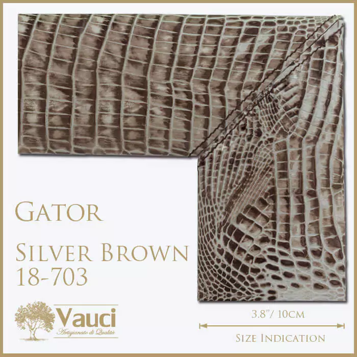 Gator silver brown vauci frame with its size indication on a white background.