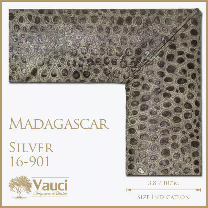 Madagascar silver vauci frame with its size indication on a white background.