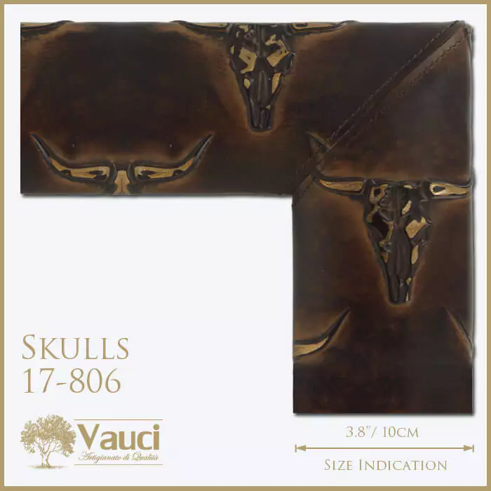 Skull vauci frame with its size indication on a white background.