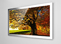 A Decovue with a stainless steel frame displaying an autumn tree.