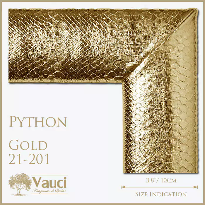 Python gold vauci frame with its size indication on a white background.