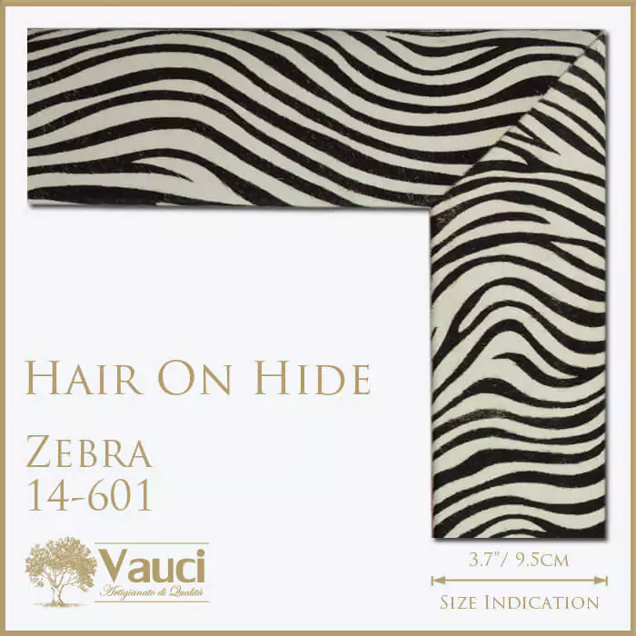 Hair on hide zebra vauci frame with its size indication on a white background.