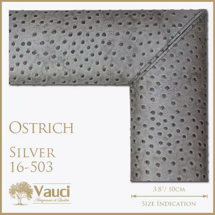 Ostrich silver vauci frame with its size indication on a white background.