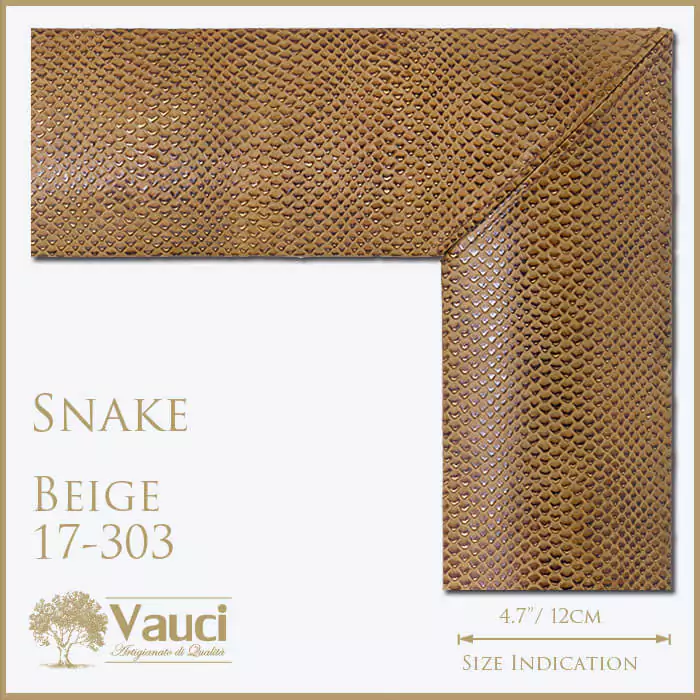 Snake beige vauci frame with its size indication on a white background.
