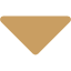 Menu Arrow Gold Icon