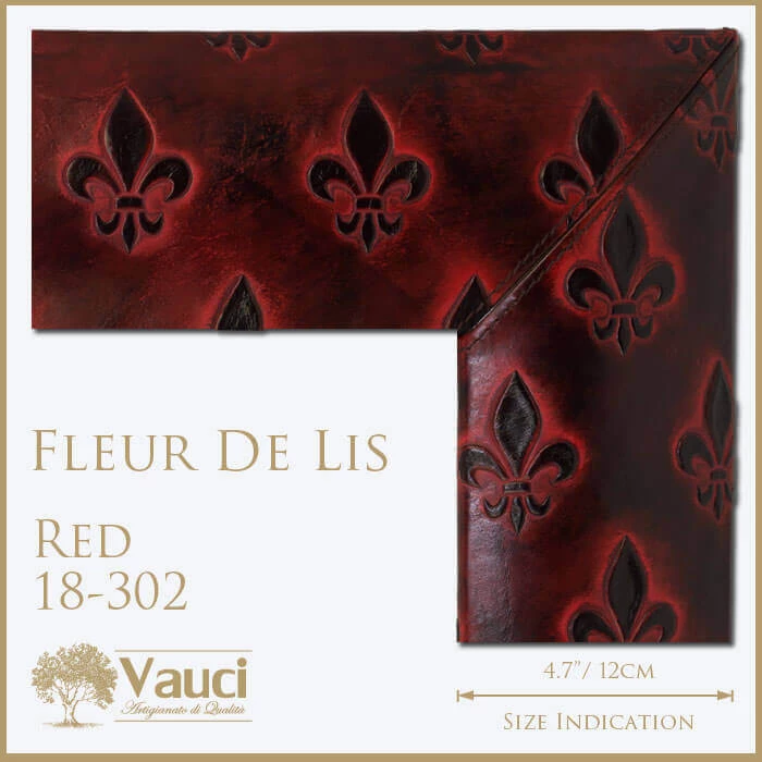 Fleur-de-lis red vauci mirror frame.
