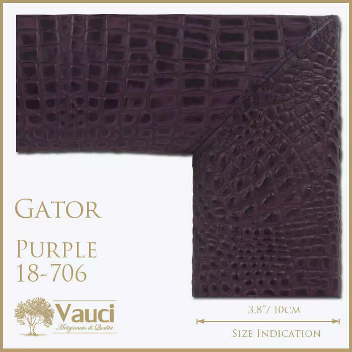 Gator purple vauci frames.
