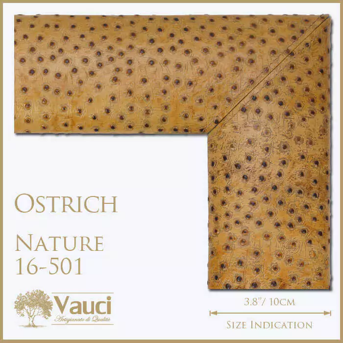 Ostrich nature vauci frames.