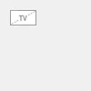 A small icon representing a television located at the top left.