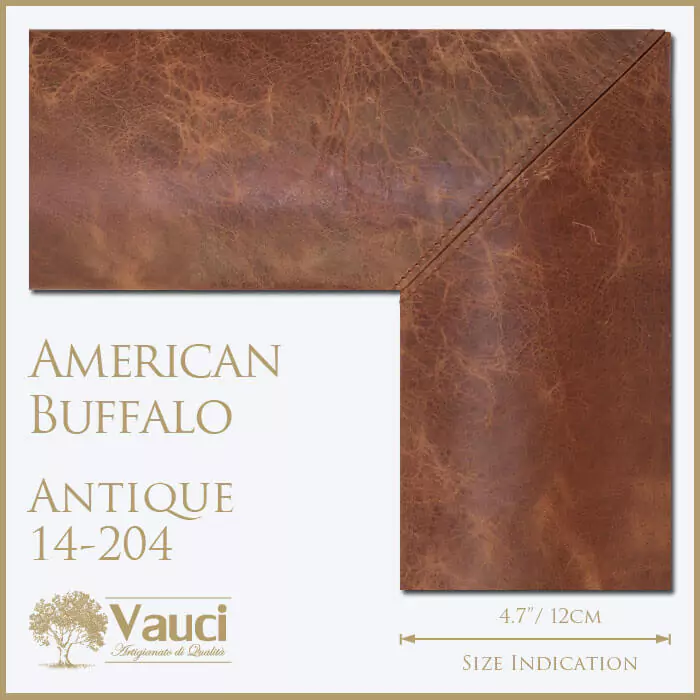 American Buffalo Antique