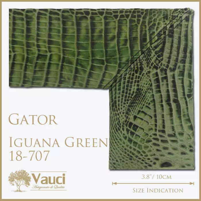 Gator Iguana Green